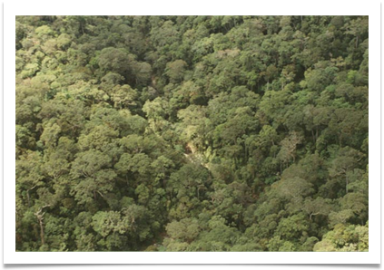 On the trail to Headquarters of the ECLGA (East Central Luzon Guerilla Area) on Mt. Macabot, Rizal, Philippines